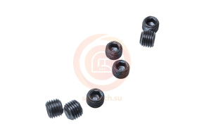 10005549 Винт М6х5