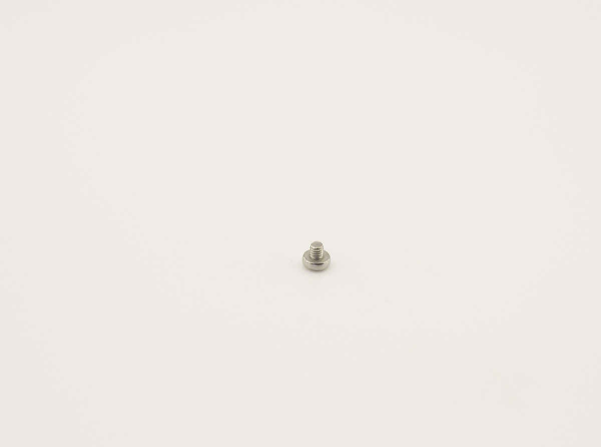 Винт 8.02.1.04  (M4x4)