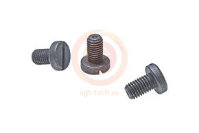 10078629 (ZSB11041) Винт