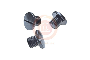 10009991 Винт в поддон