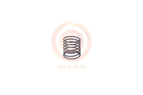 10009500 Пружина